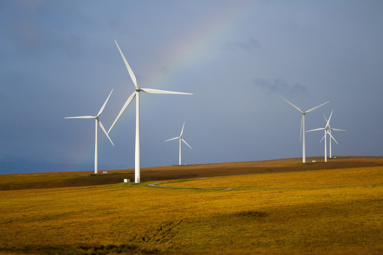 What is the Environmental Footprint of Online Shopping?